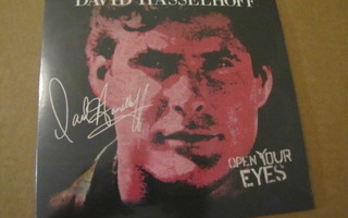 David Hasselhoff Open your eyes 7 45 saksa 2020 pinkki vin