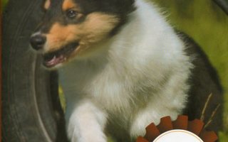 KOIRIEN HYVINVOINTI	(16 596)	-FI-	DVD	, koirien käytöskoulu