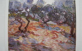 pk Vincent van Gogh Olive Trees  taidepostikortti