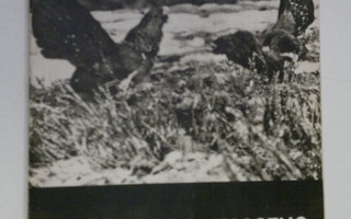 Metsästys ja kalastus n:o 4 huhtikuu 1944