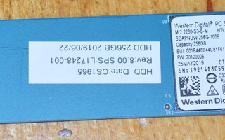 WD SN520 M.2 SATA 256GB SSD levy