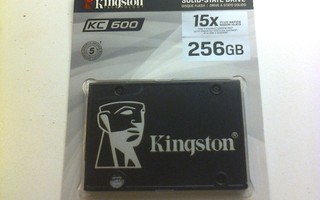 Kingston KC600 256GB.