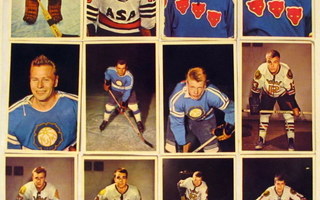 Jenkki Hellas 1965 jääkiekko sarja