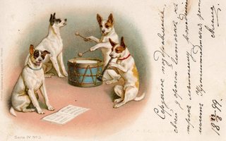 Vanha postikortti- koirat musisoivat v 1899
