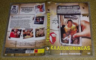 DVD: Kaasukuningas / King Frat (FI)