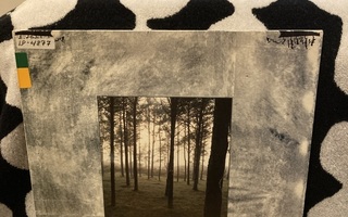 Niekku – 2 LP