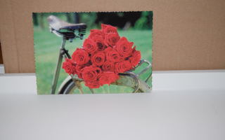 postikortti polkupyörä ALE