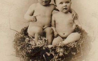 LAPSI / Alastomat vauvat kaulakkain linnunpesässä. 1900-l.