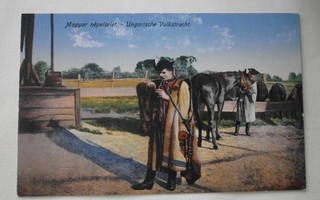 Miehet unkarilaisissa kansanpuvuissa, hevonen, vanha väripk