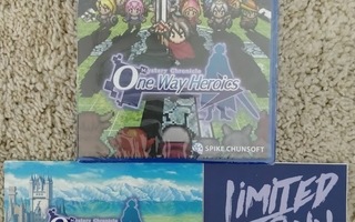Mystery Chronicle: One Way Heroics + kortti ja tarra (PS4)