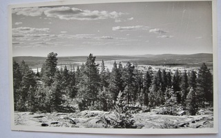 VANHA Postikortti Rovaniemi Ounasvaara Lappi 1958