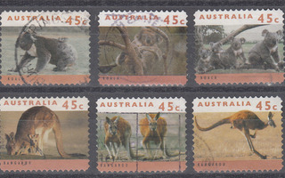 AUSTRALIA kenguruita ja koaloita