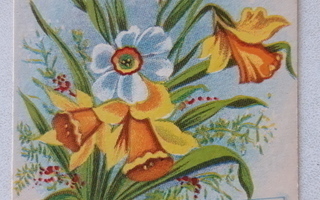 Orvo Sundelin lähettämätön kukkakortti