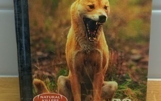 Natural killers – Dingo – ystävä vai vihollinen, DVD, sis.pk