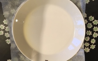 Valkoiset Teema lautaset 2 kpl 19 cm