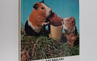 Kay Ragland : Guinea Pigs