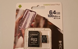 Muistikortti 64 GB