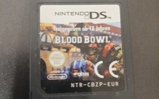 Nintendo DS Blood Bowl