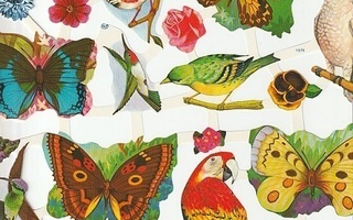 *MLP 1575-76, upeaväriset linnut ja perhoset-arkki, 31x24cm*