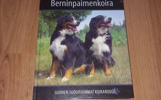 Berninpaimenkoira - Suomen suosituimmat koirarodut