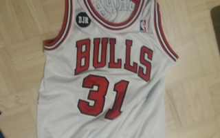 HARV CHICAGO BULLS GAME WORN ERIK MURPHY!!!