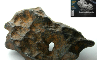 Imilchil / Agoudal rauta meteoriitti luonnon reiällä 59 mm