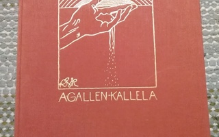 Akseli Gallen-Kallela: Afrikka-kirja
