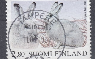1997 Lape 1375 Metsäjänis - LOISTO