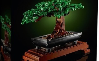 LEGO # Botanical Collection # 10281 # Bonsai Tree ( 2021 )