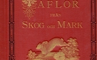 Taflor från Skog och Mark 1877 24 kuvataulua teksteineen