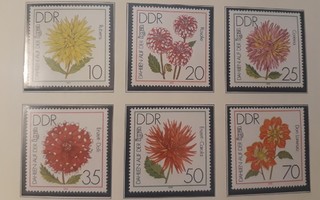 DDR 1979 - Kukkia puutarhanäyttely (6)  ++