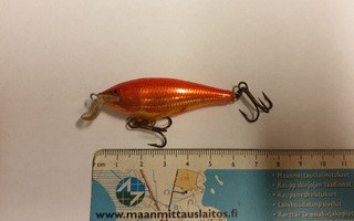 Pikku Rapala