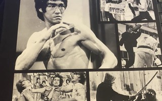 From Bruce Lee to the Ninjas. Martial Arts Movies