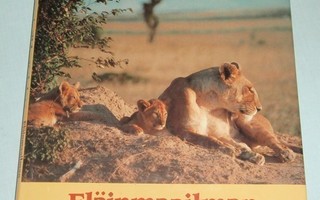 Sesse ja Ilkka Koivisto : Eläinmaailman emoja ja poikasia