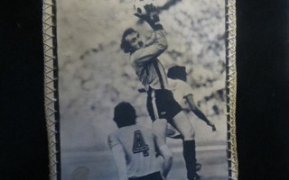 Kiovan Dynamo viiri 1982
