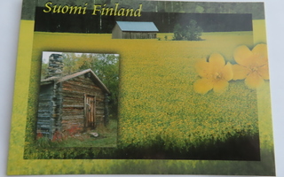 Suomi - Finland  Keltaisena kukkiva pelto
