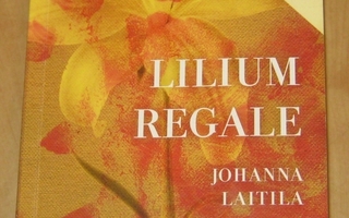 Lilium regale (Johanna laitila)