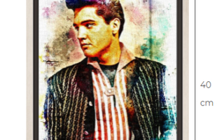 Elvis Presley canvastaulu 30 cm x 40 cm + kehys