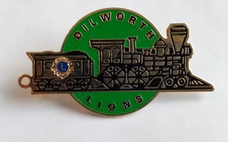 Pinssi - Dilworth Lions