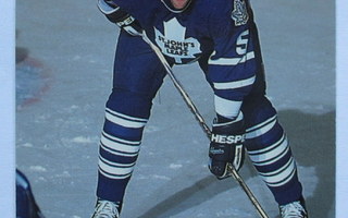 JANNE GRÖNVALL S.T Johns Maple Leafs AHL kortti