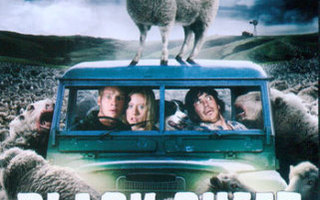 Black Sheep - Musta Lammas (2006) UUDENVEROINEN