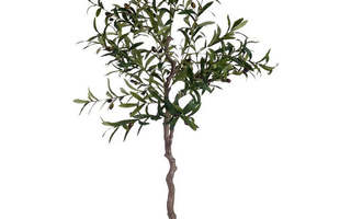 Koristekasvi Oliivipuu Muovinen Rautalanka (85 x