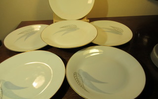 Arabia  Iris II lautaset, uudet