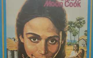 Vashti ja vieras Jumala, Gladys Moon Cook