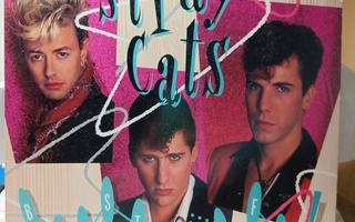 Stray Cats : Blast Of