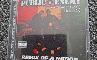 Public Enemy Featuring Paris – Remix Of A Nation