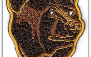 NHL - Boston Bruinsin Karhu -kangasmerkki / hihamerkki