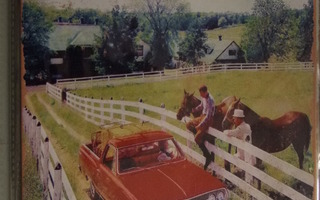 Peltikyltti Chevrolet el camino 1965