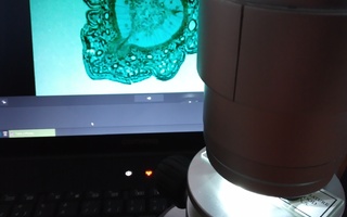 Mikroskooppi BRESSER