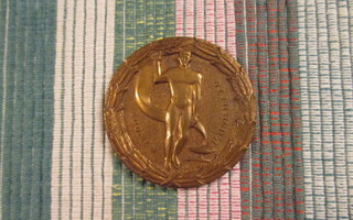 Suomen Painiliitto 1966 mitali